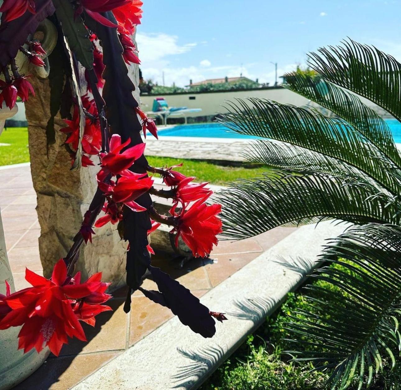 Gold House Luxury Anzio Exterior foto