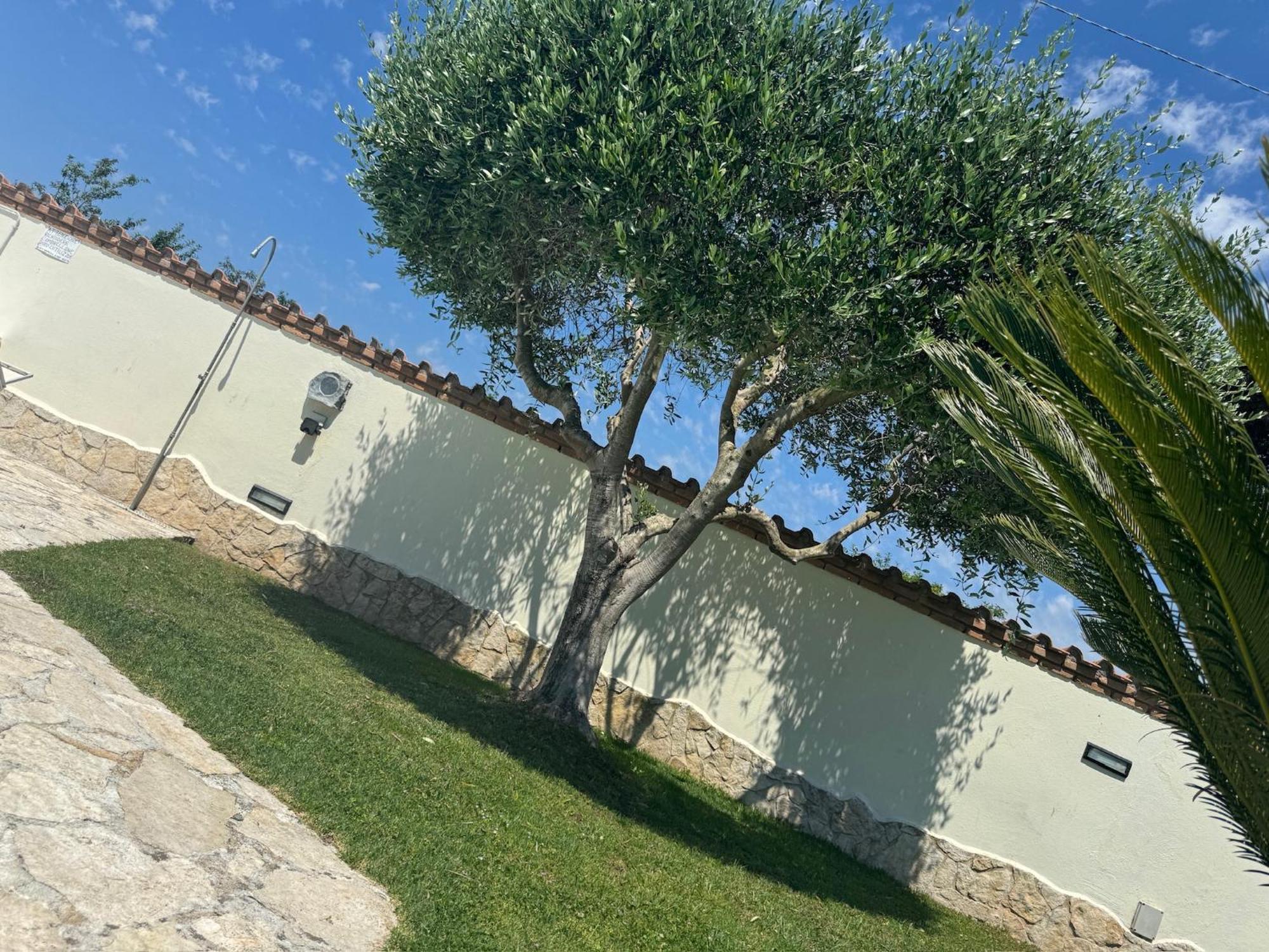 Gold House Luxury Anzio Exterior foto